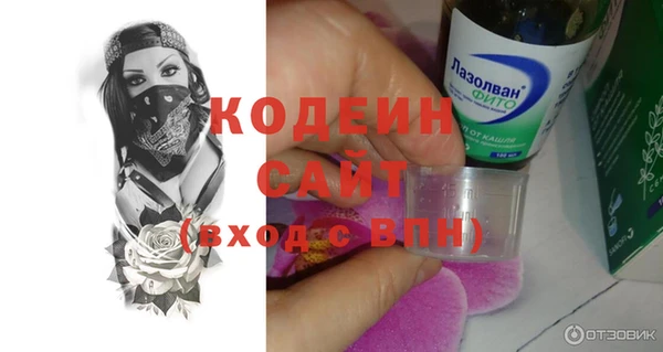 мяу мяу мука Инсар