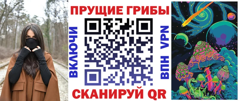 как найти закладки  Кулебаки  Псилоцибиновые грибы GOLDEN TEACHER 